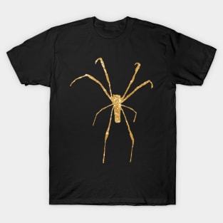 SPIDER in LIGHT GOLD GLITTER T-Shirt